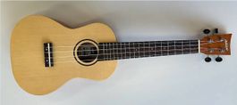 Ashton UKE240SP Concert Ukulele