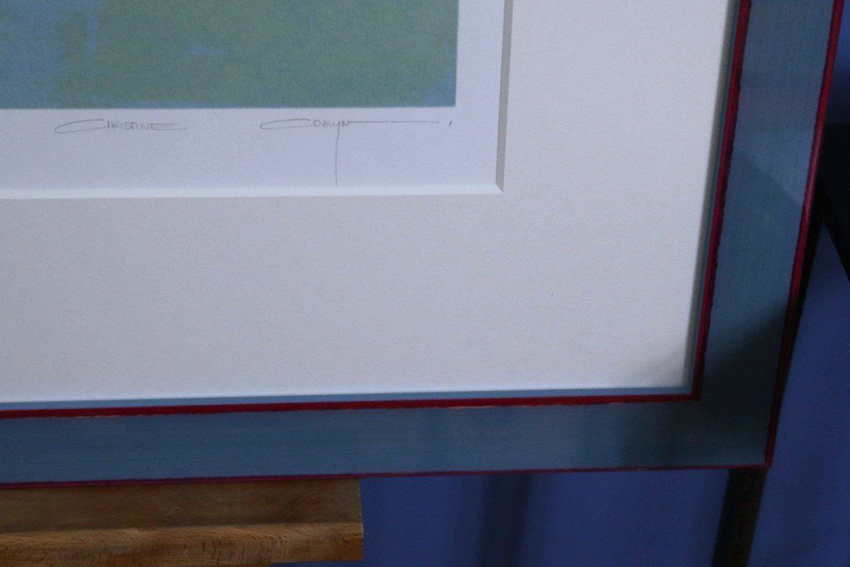 Grafica & Litografie: Christine Comyn (1957), Lithographie, E. A. handsigniert – Usato da Zug venduto da Kunst-Fundgrube 6