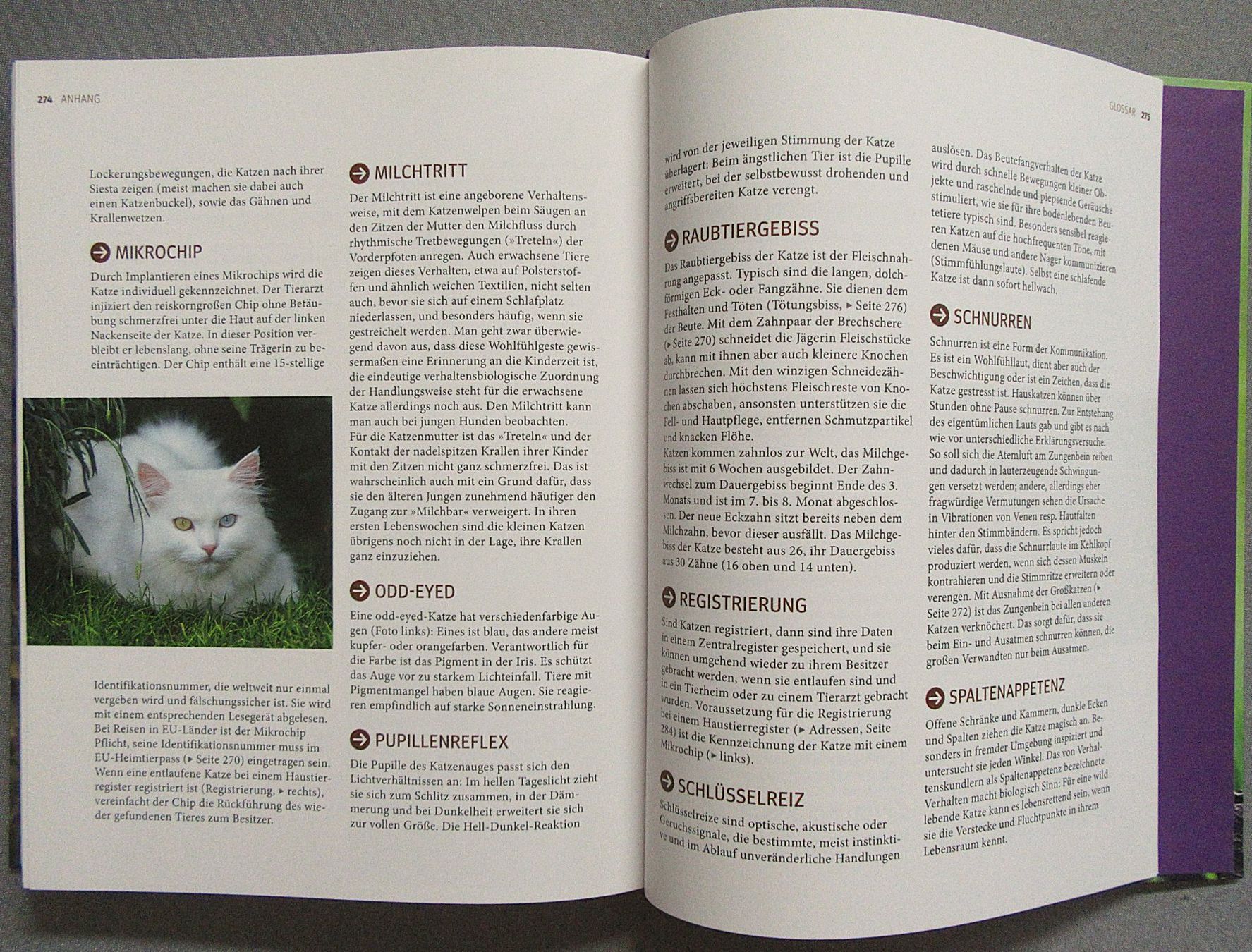 Bücher: Katzen - Das grosse Praxishandbuch - GU – Gebraucht aus Auenstein von Padabimbim 8