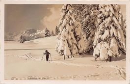 Crans sur Sierre, Dent de Fully Sports d'Hiver circulée 1942