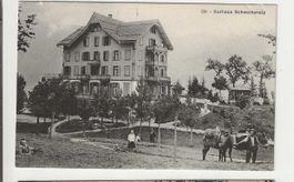Brienz, Schweibenalp ca 1910