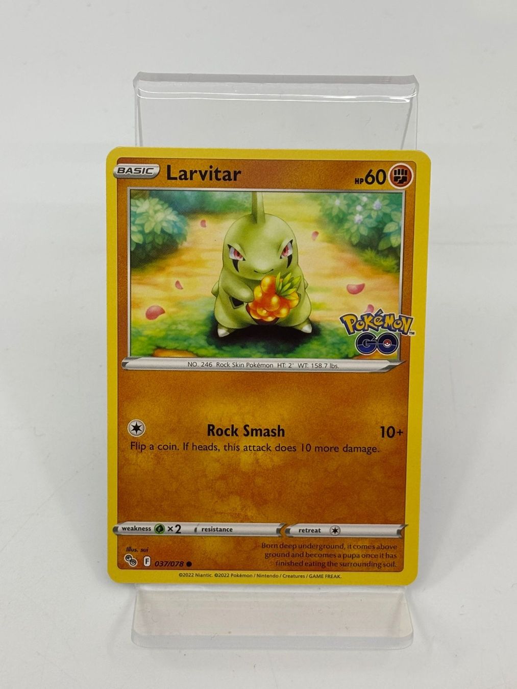 Pokémon Carte collezionabili: Pokemon Larvitar 037/078 – Usato da Herisau venduto da Pokemon2025