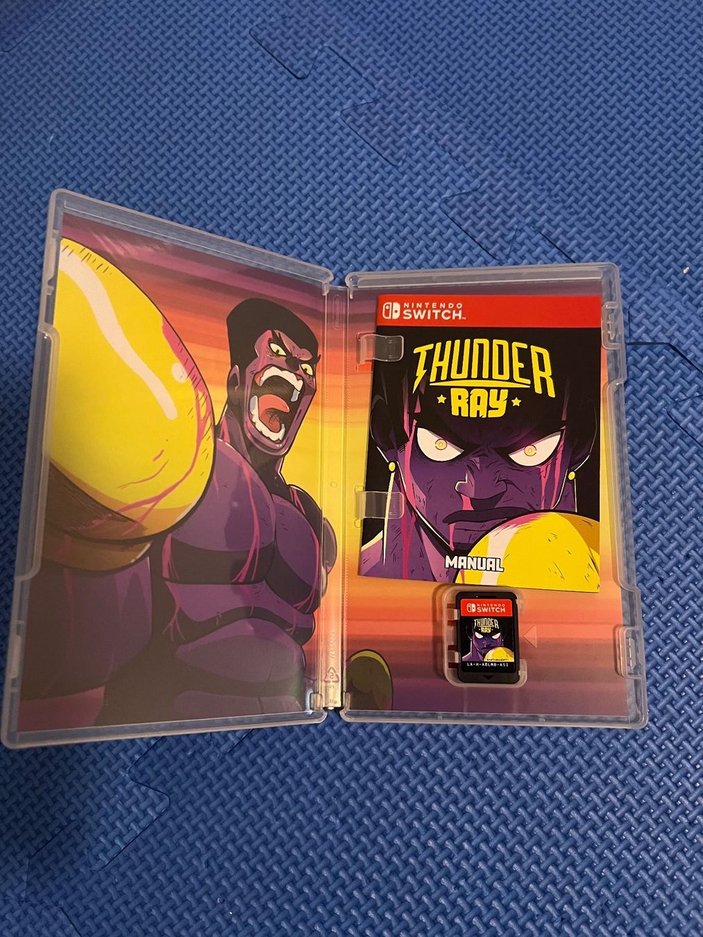 Nintendo Giochi: Thunder Ray Nintendo Switch – Usato da Gossau SG venduto da schlitzerdemon 1