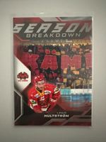 Sportzoo EHCB Linus Hultstrom Season Breakdown