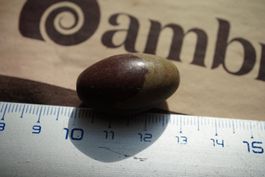 Shiva Lingam     Handschmeichler    ab 1.-  Räumung