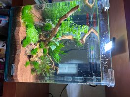 Aquarium nano cube 20l