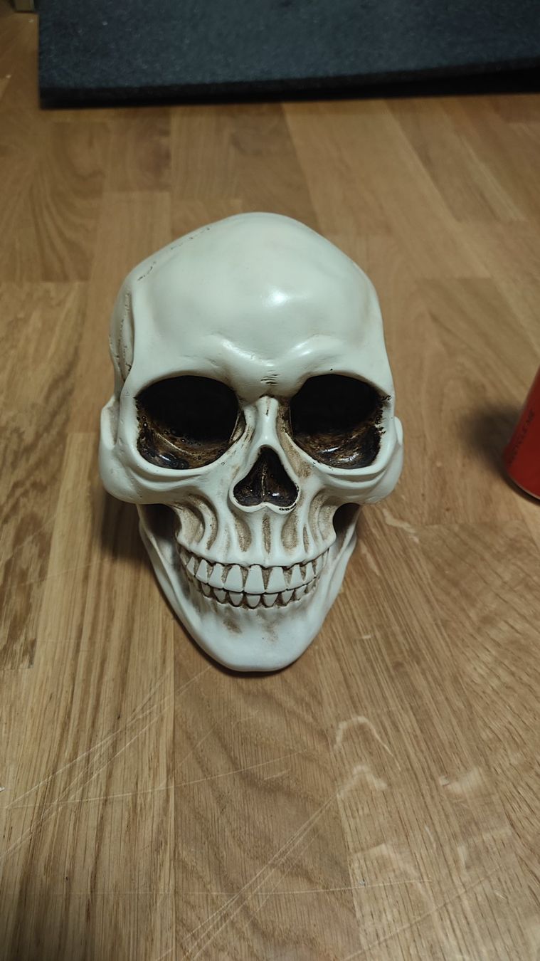 Tutte le decorazioni: Schädel Deko – Usato da Gümligen venduto da JohnnyOnyx 3