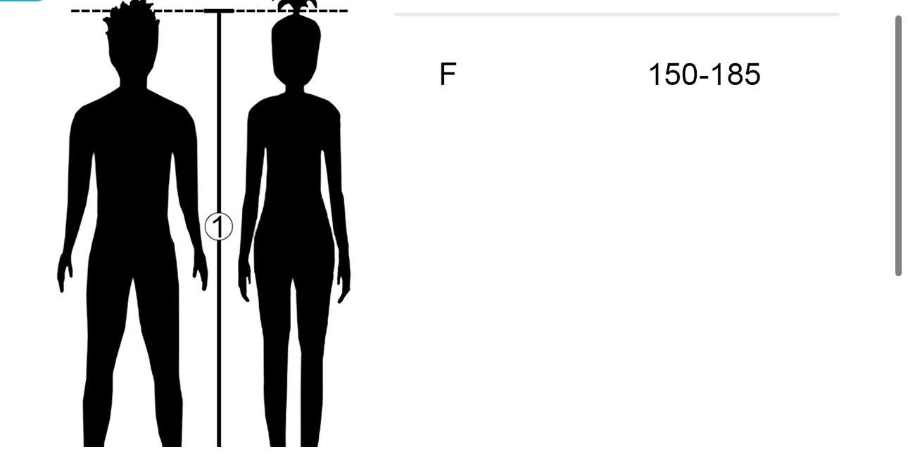 Costumi: Selbstaufblasbares Kostüm Pferd – Nuovo (secondo la descrizione) da Necker venduto da liq24 5