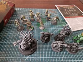 Age of Sigmar - Spearhead Maggotkin of Nurgle: Bubonic Cell