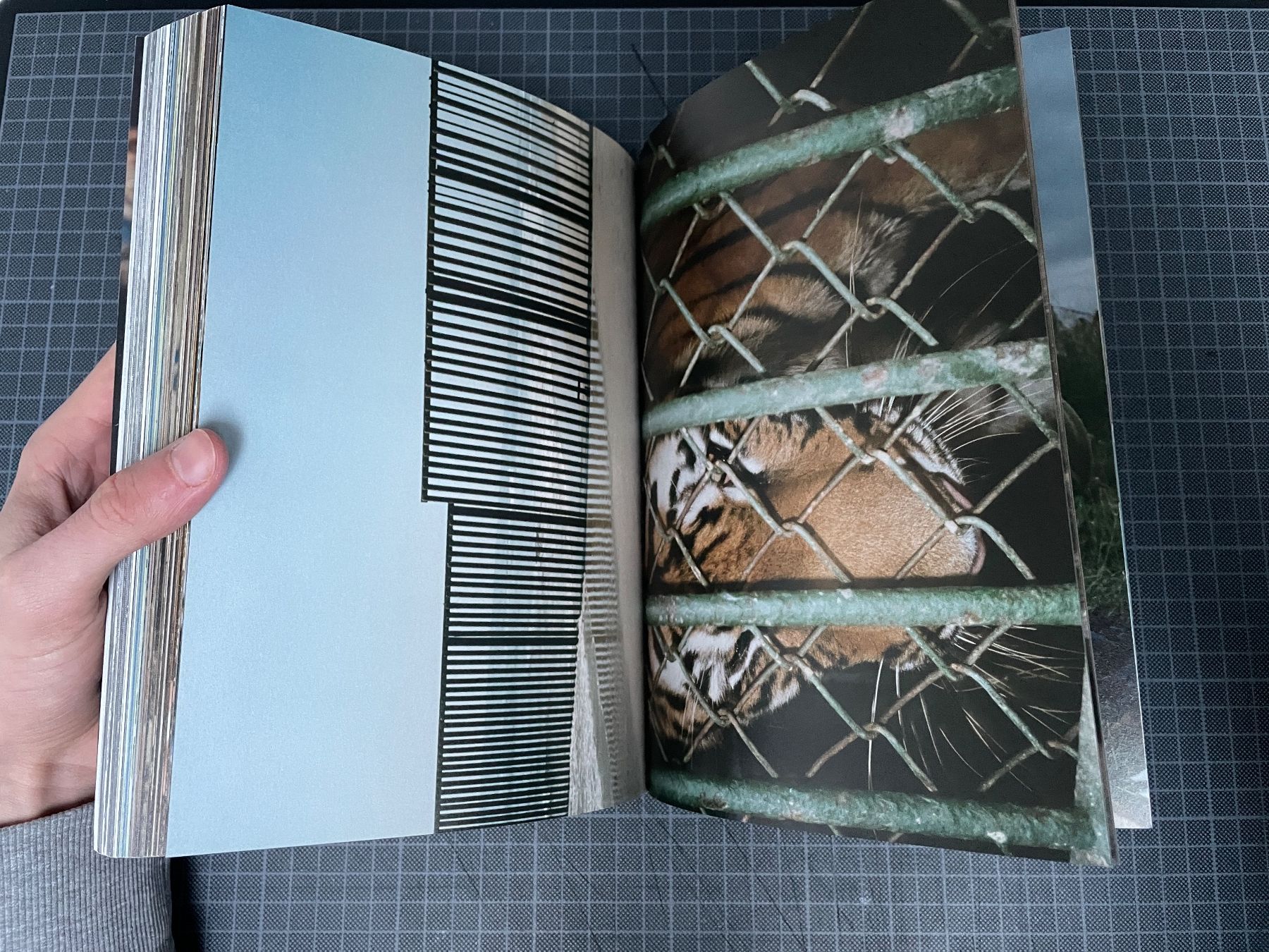 Libri: Nick Waplington - Anaglypta – Usato da St. Gallen venduto da oliverhochuli 4