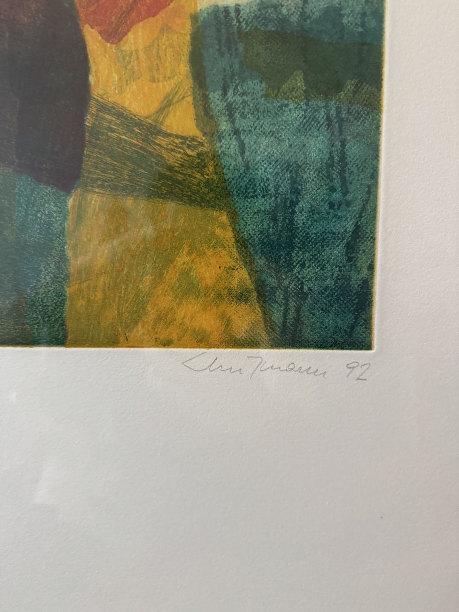 Grafica & Litografie: Walter Ehrismann - Grosse Moderne Lithographie – Usato da Zürich venduto da WKND93 3