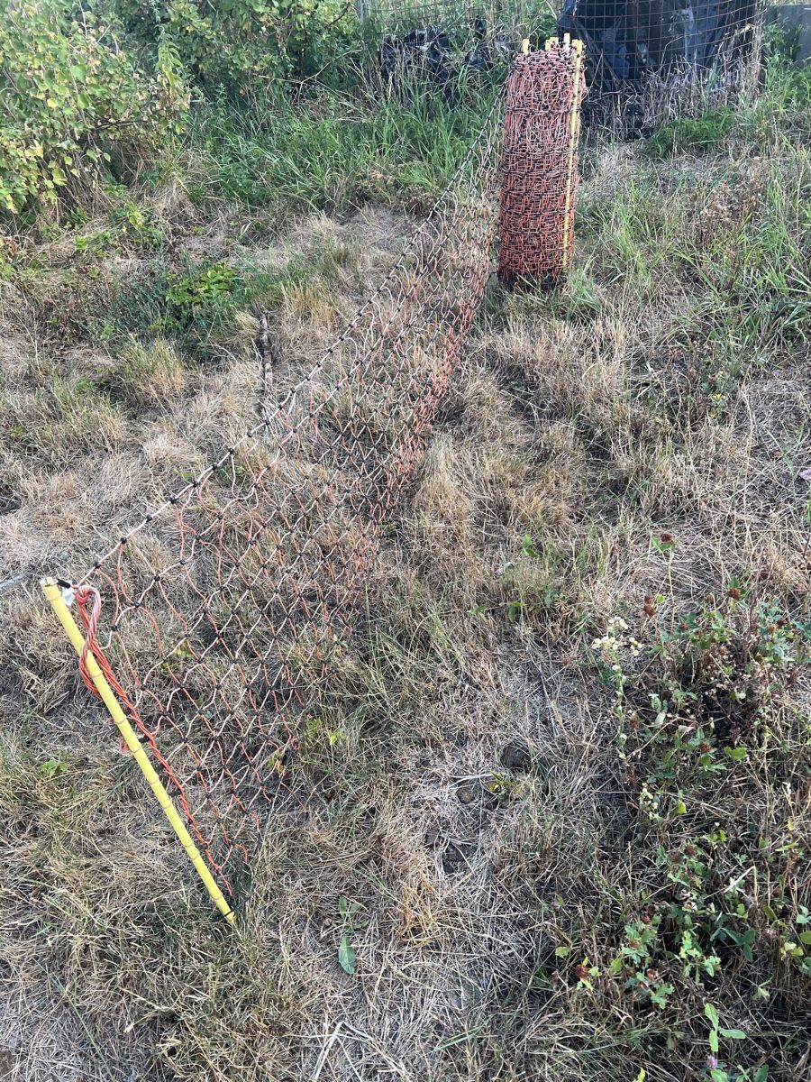 Altre attrezzature per stalle: Weidezaun für Kaninchen – Usato da Biglen venduto da Giorgio4 1