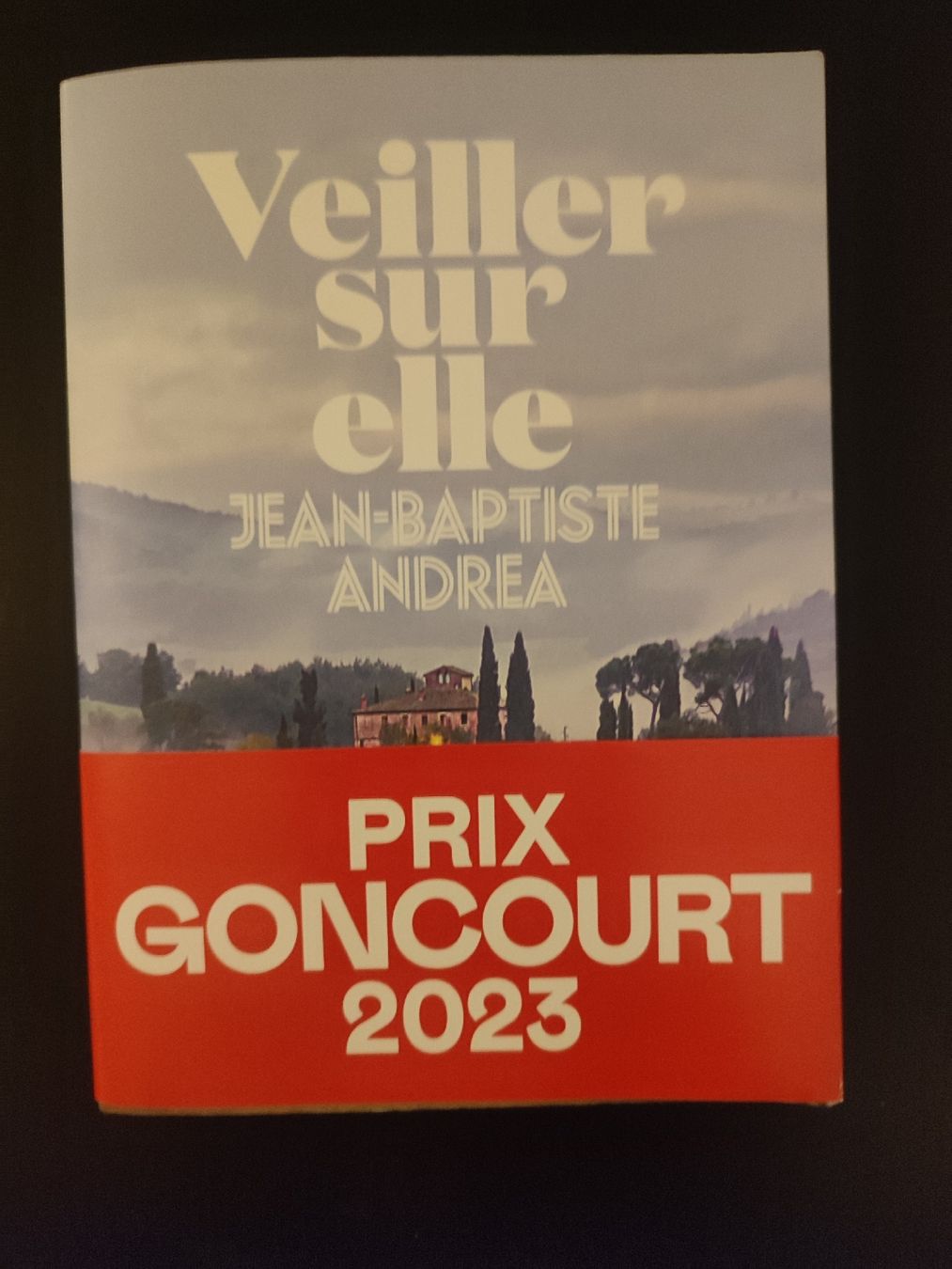 Veiller sur elle - Prix Goncourt 2023 - Édition Originale (D'occasion ...