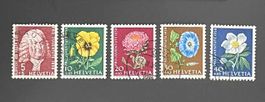 1958 PJ Wiesen- und Gartenblumen ʘ J173 - J177
