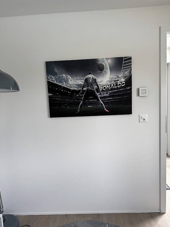 Foto & Immagini: Wandbild Ronaldo – Usato da Dornach venduto da bambusstr 1