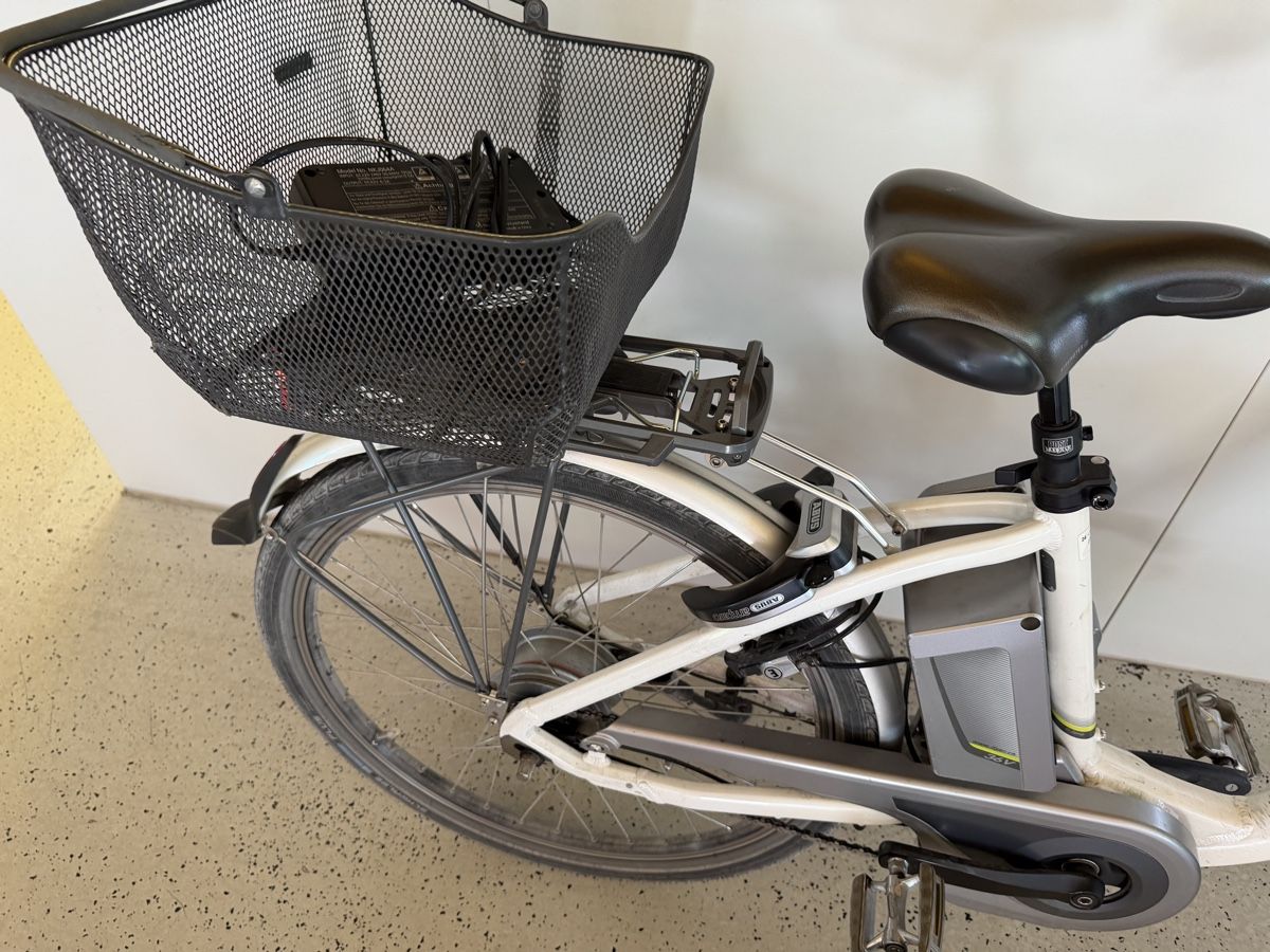 Flyer Biciclette: Flyer C 12 – Usato da Balsthal venduto da Scapin4045 2