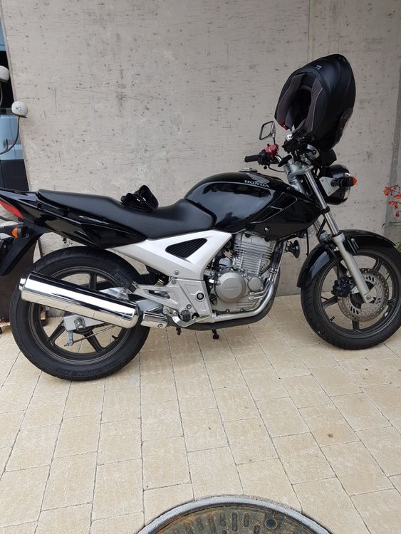 Honda CBF 250 Kaufen auf Ricardo