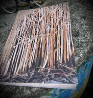 Doris Salcedo – Ausstellungskatalog Fondation Beyeler (2023)