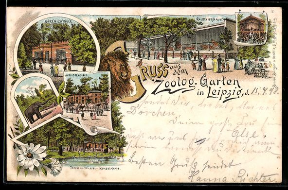 Cartoline postali: Litho Leipzig, Zoologischer Garten, Anti – Usato da Berlin venduto da bartko-reher