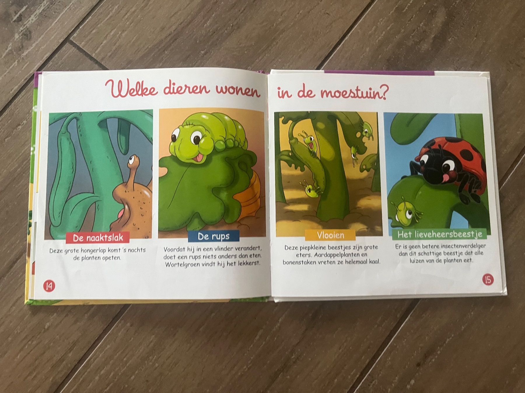 Libri: Buch_dutch_niederländisch – Usato da Versegeres venduto da kista 2