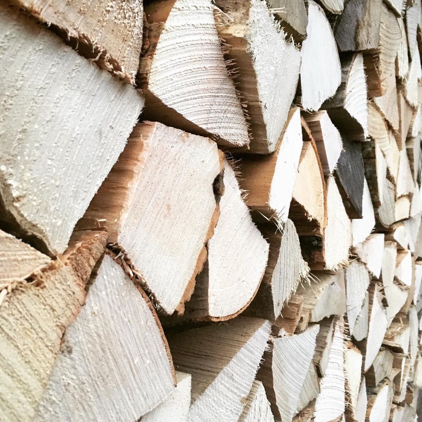 Holzartikel: Brennholz Laubholz 1m – Neu (gemäss Beschreibung) aus Egnach von larssigner