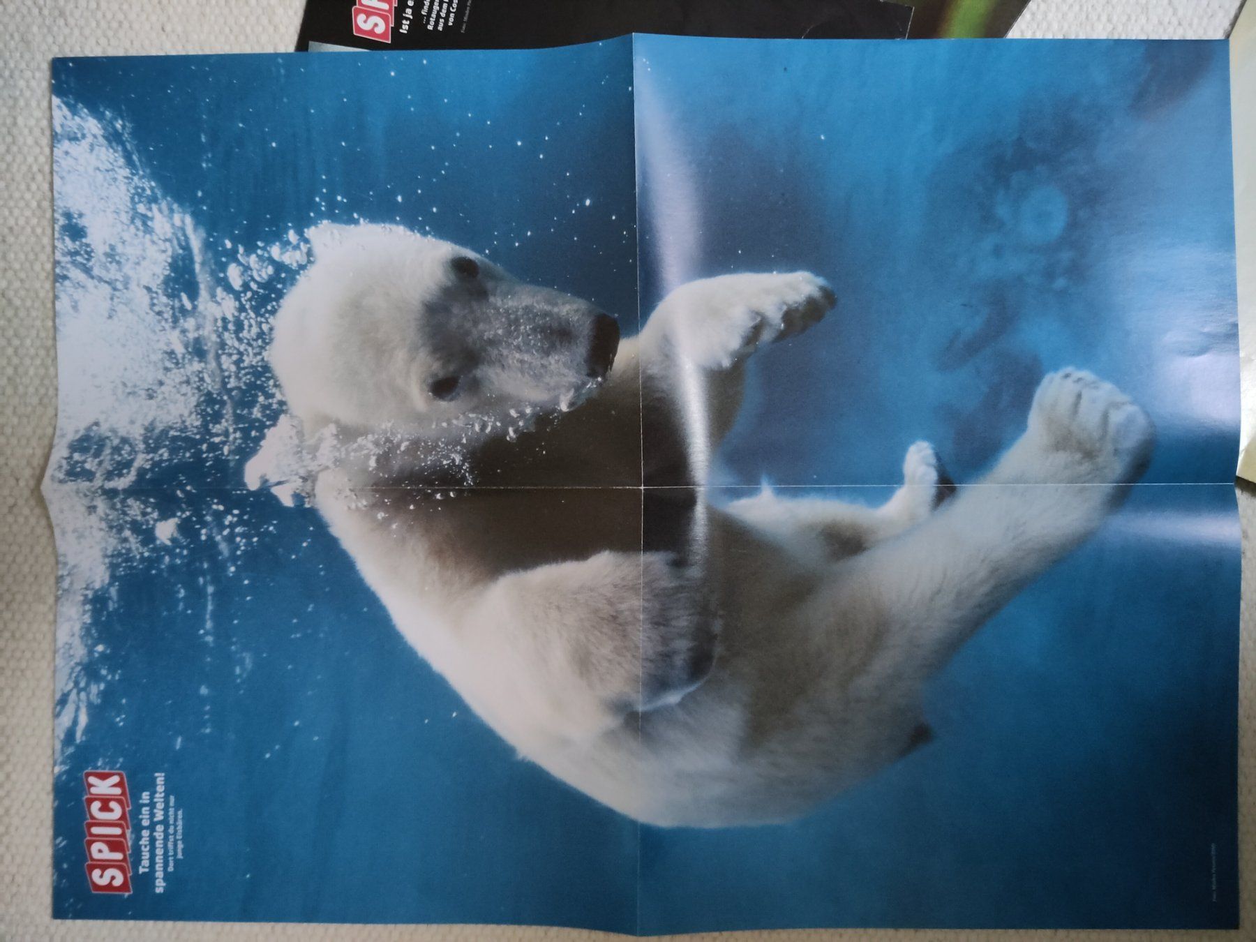 Foto & Immagini: Spick, Tier-Poster, 4x – Usato da Basel venduto da Bar08 1