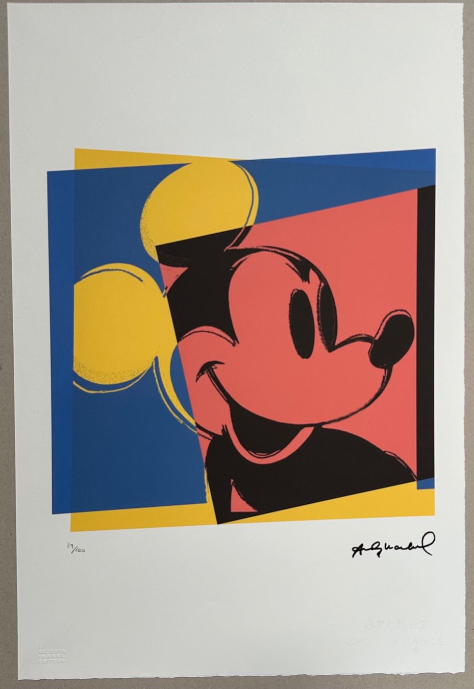 Dipinti: Andy Warhol: Mickey Mouse, POP Art 29/100 – Nuovo (secondo la descrizione) da Meilen venduto da Smgdesign