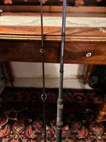 Daiwa Power Mesh Catfish - 190g, 245cm