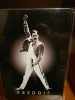 Blechschild Queen Freddie
