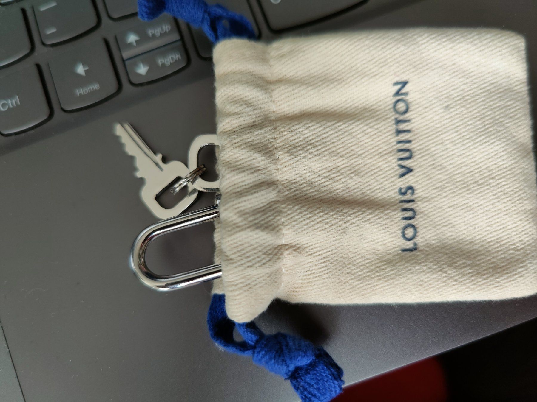 Lucchetti: LOUIS VUITTON Vorhängeschloss – Nuovo e nell'imballaggio originale da Winterthur venduto da der-SIMER 2