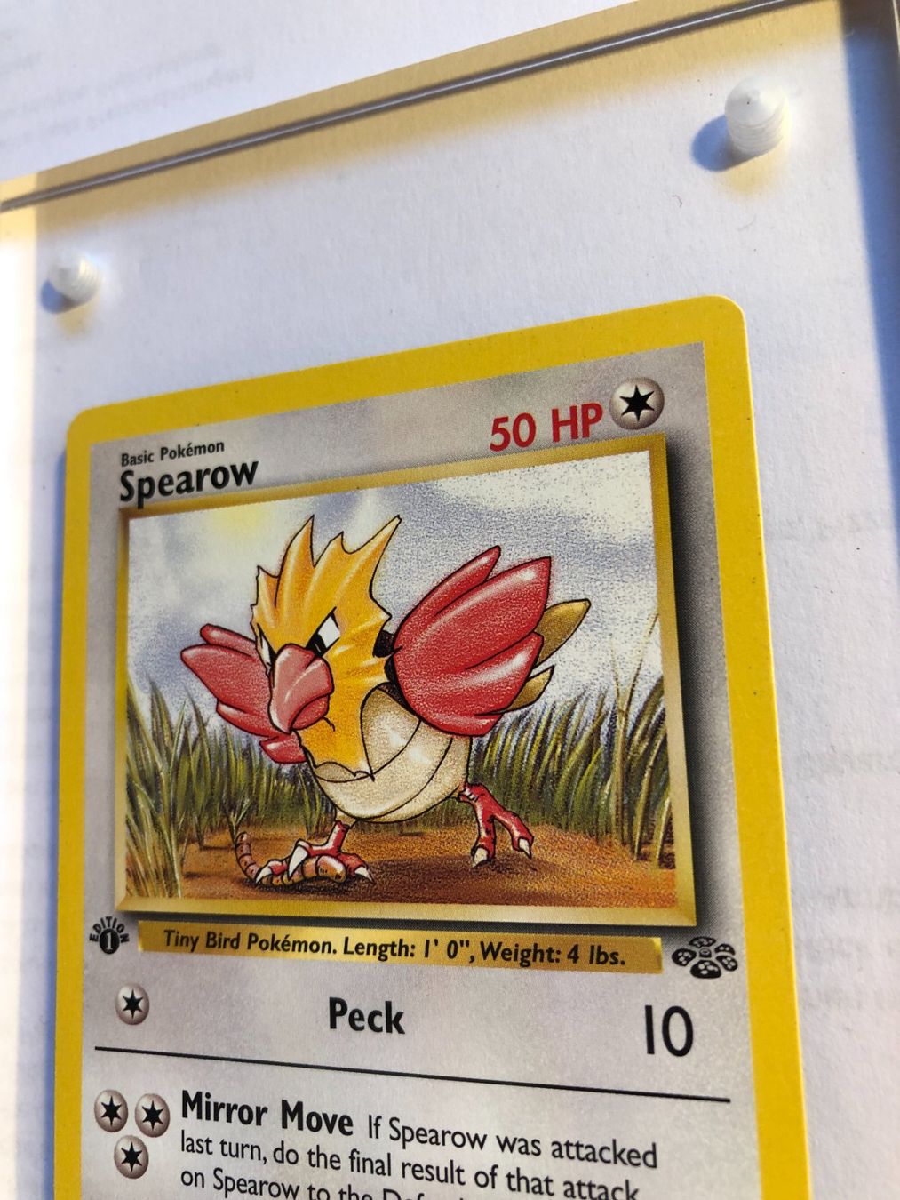 Sammelbilder & Trading cards: Spearow 1st Jungle - NM - ab 1.- – Gebraucht aus Giubiasco von dan_pr8b 3