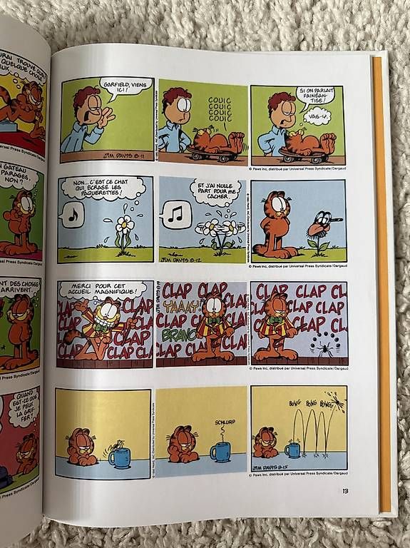 Comics: BD Garfield – Gebraucht aus Courfaivre von Lo_noi 1