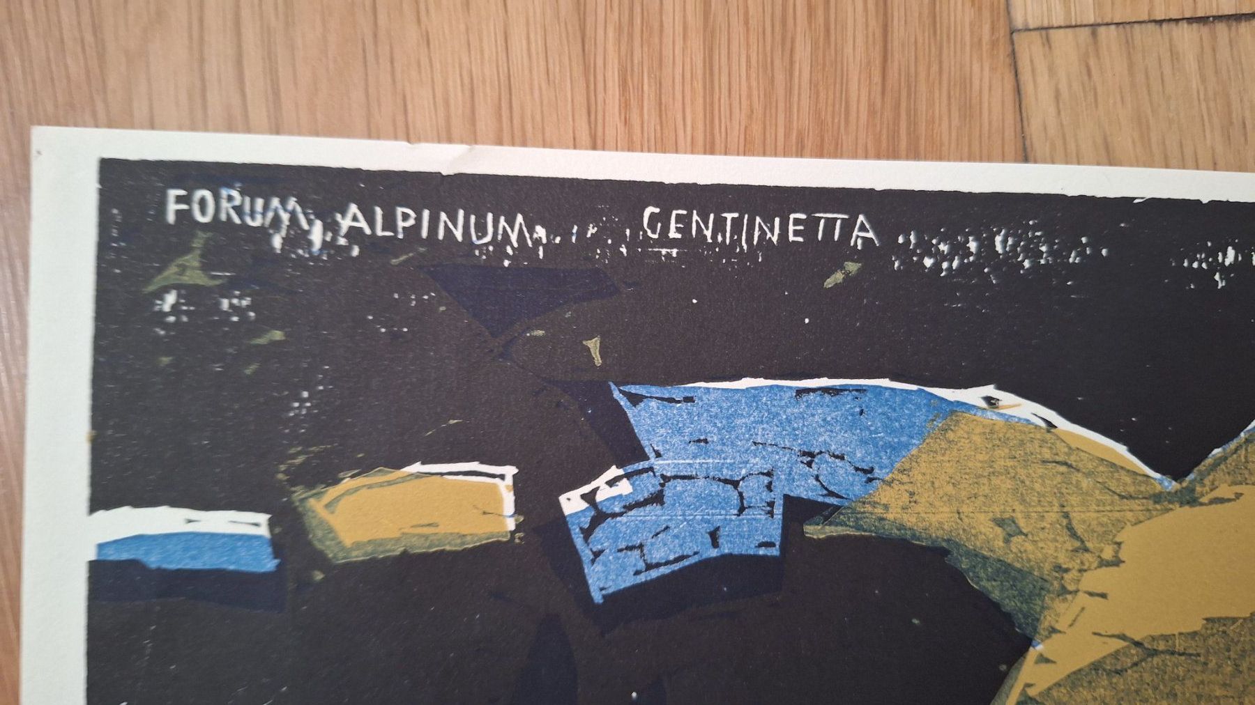 Xilografie: Holzschnitt "Forum Alpinum  GENTINETTA – Usato da Dornach venduto da majo8689 5