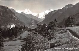 Wilderswil mit Blick auf die Alpen