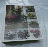 Classeur Soin et beauté des plantes avec 120 fiches