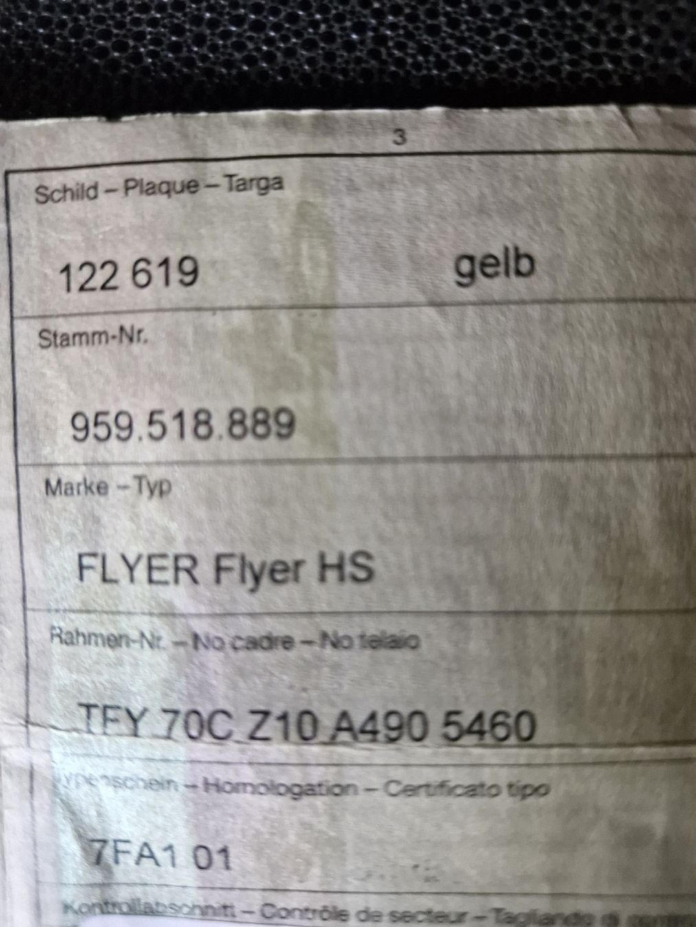 Flyer Biciclette: flyer hs 45 kmh – Usato da Menzberg venduto da elm_q9ff 5