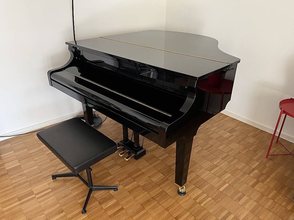 Strumenti musicali: E-Piano Halbflügel – Usato da Zofingen venduto da Edonis
