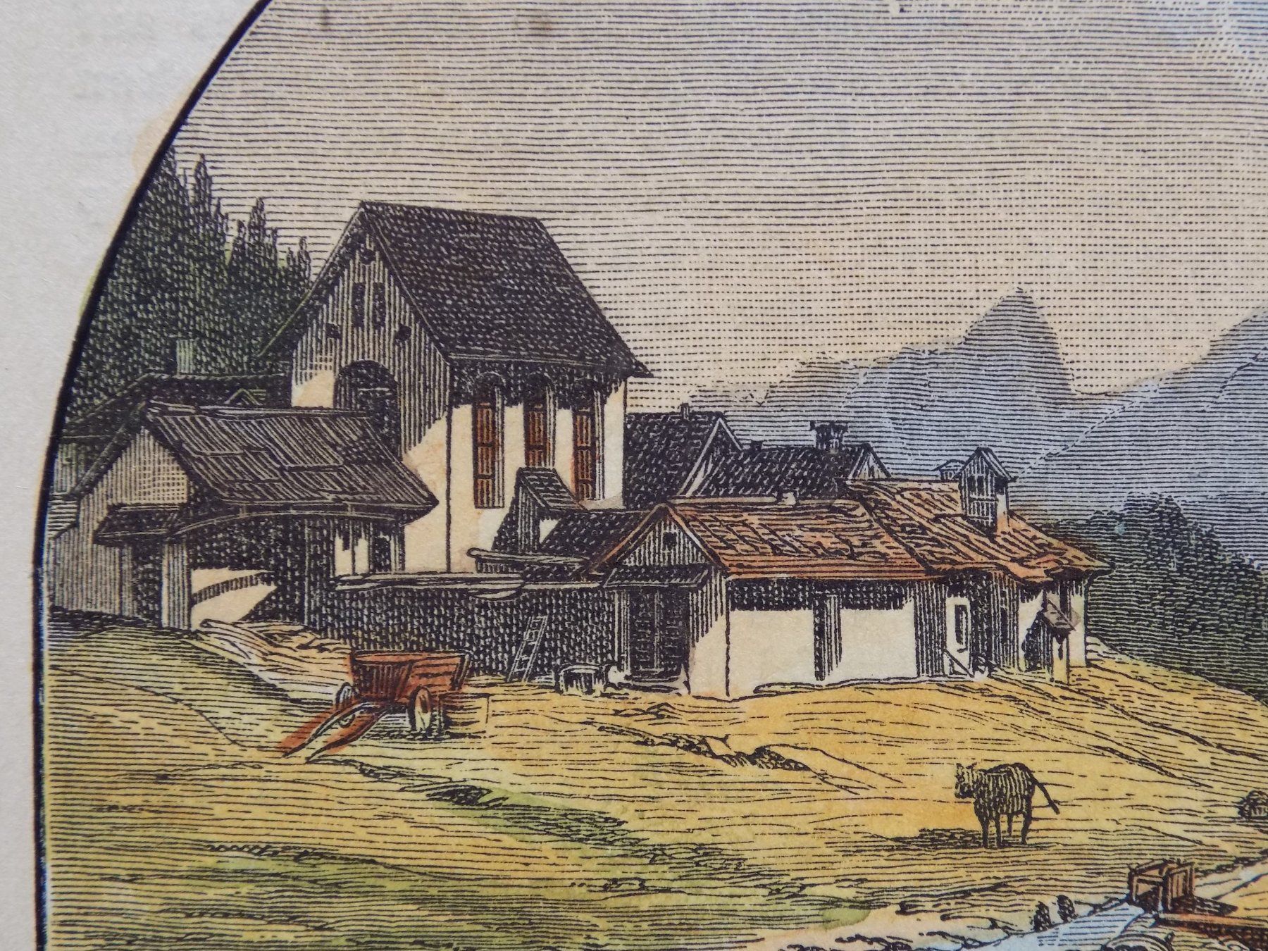 Incisioni: St.Moritz Meierei – Usato da Risch venduto da Rischli15 5