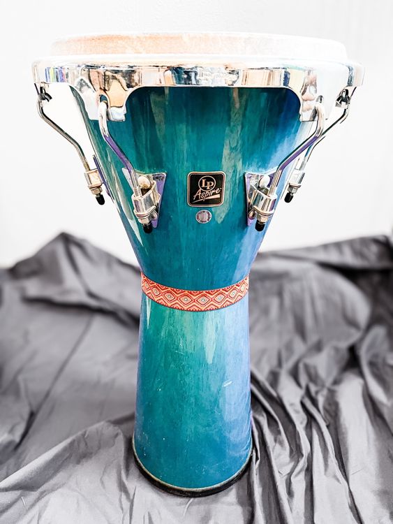 LP Aspire Djembe Kaufen auf Ricardo