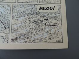 Tintin-2 planches n. publiées-ou Tintin failli mourir TIRAGE