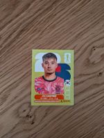 Panini Bild KOR 15, Jens Castrop