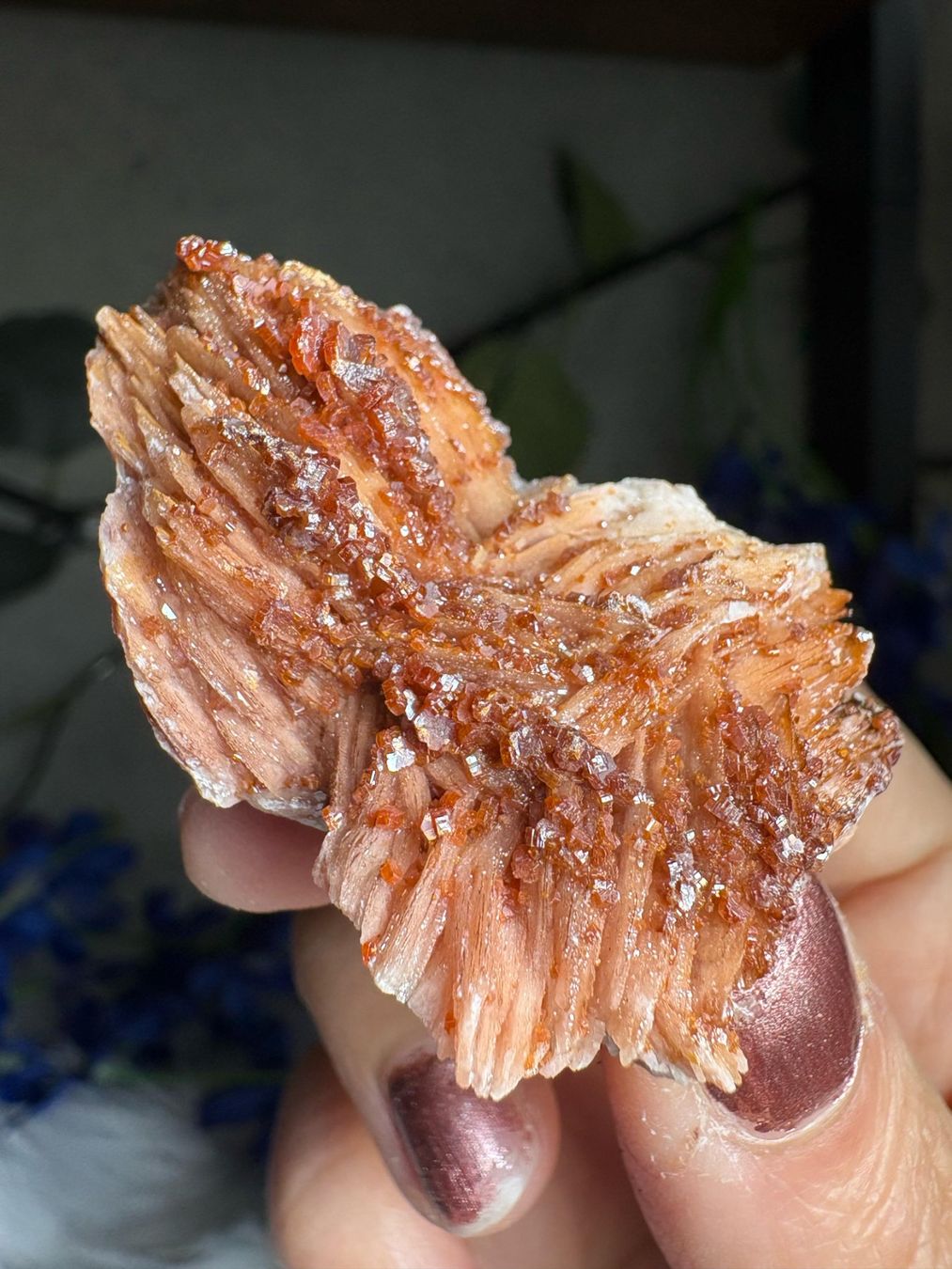 Mineralien & Heilsteine: Vanadinit auf Baryt – Neu (gemäss Beschreibung) aus Neuheim von m.hald 5