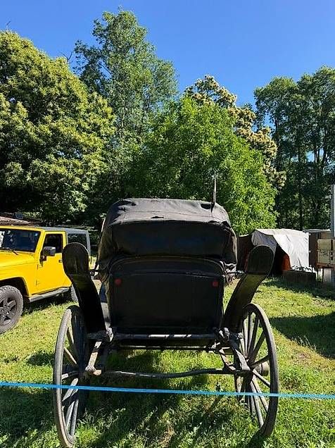 Kutschen: Vendo carrozza per cavalli – Gebraucht aus Stabio von bre_nql6 1