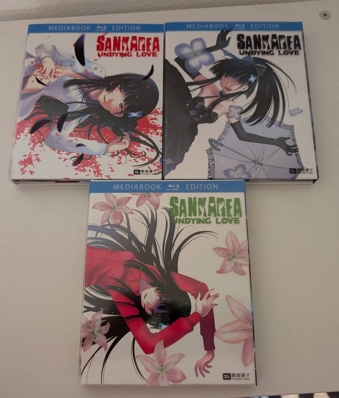 Alle DVDs: Sankarea Komplette Animeserie – Gebraucht aus Oberengstringen von Marco8952