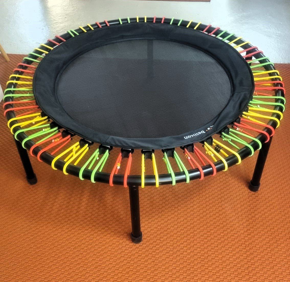 Bellicon Trampolini: Bellicon® Classic 112cm – Nuovo (secondo la descrizione) da Zürich venduto da Irieirie 1