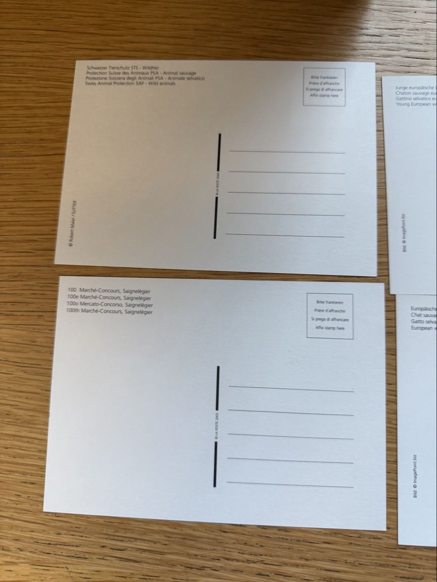 Cartoline postali: 10 Maximumkarten Schweiz – Nuovo (secondo la descrizione) da Murgenthal venduto da Tina_4055 3