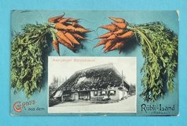 Rübli-Land - Aargauer Bauernhaus - 1911