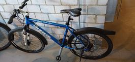 Wheeler Mountainbike 19 Zoll Räder