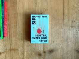 Mütter, Väter und Täter (Essays) – Siri Hustvedt