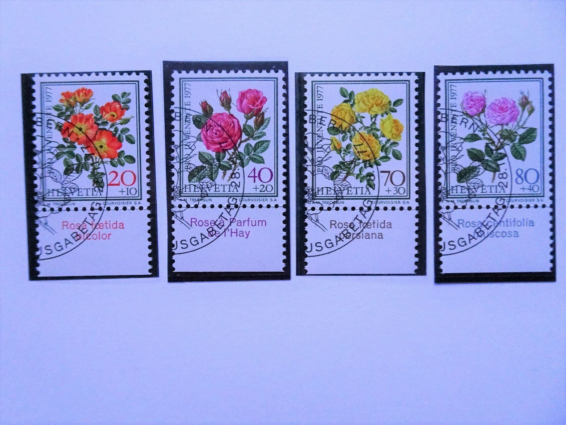 Tous les timbres: PJ 1977 – Neuf (Voir description) à Aadorf par Chnorli-Furz